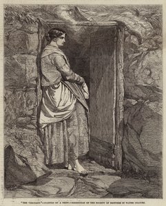 Den visjonære